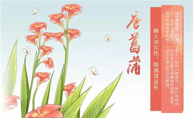 新澳门全年免费原料网